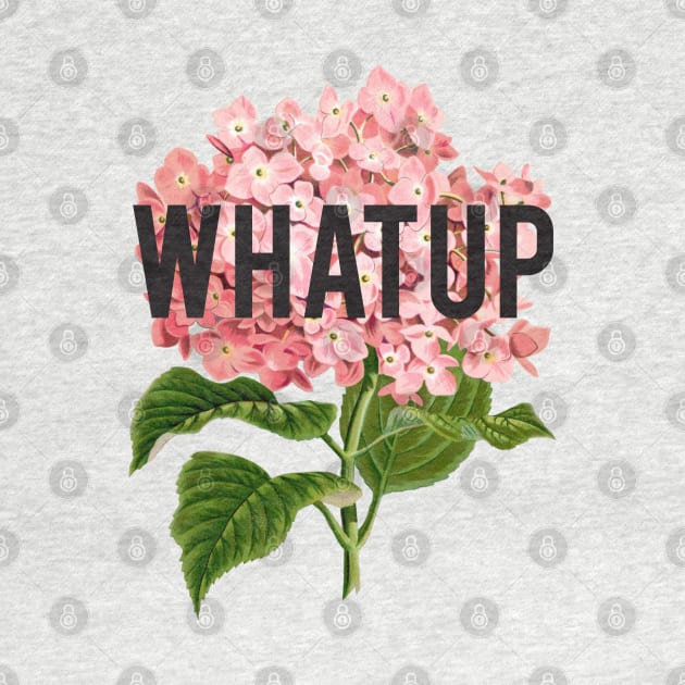 WHAT UP by PaperKindness